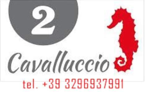 Hotel Mar&Sol Termoli Exteriér fotografie